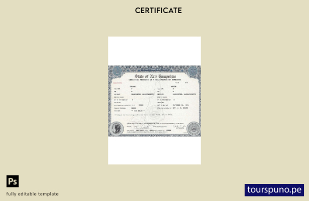 listo para imprimir plantilla de certificado de matrimonio de New Hampshire de E